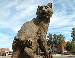Photo of the Wildcat sculpture. Link to Gifts by Will.