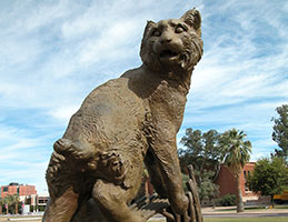 Photo of the Wildcat cougar. Links to Gifts by Will