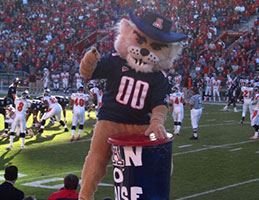 Photo of mascot Wilbur Wildcat at a football game. Links to What to Give