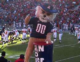 Photo of mascot Wilbur Wildcat at a football game. Link to What to Give.