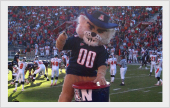 Photo of mascot Wilbur Wildcat at a football game. Link to What to Give. waystogive_whattogive.jpg